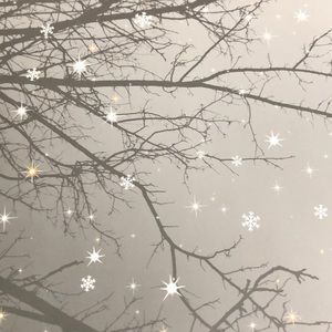 Meet your Posher, Ramon